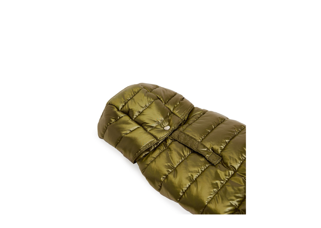 Fashion Dog Impermeabile Trapuntato con Cappuccio Rimovibile 30 Verde