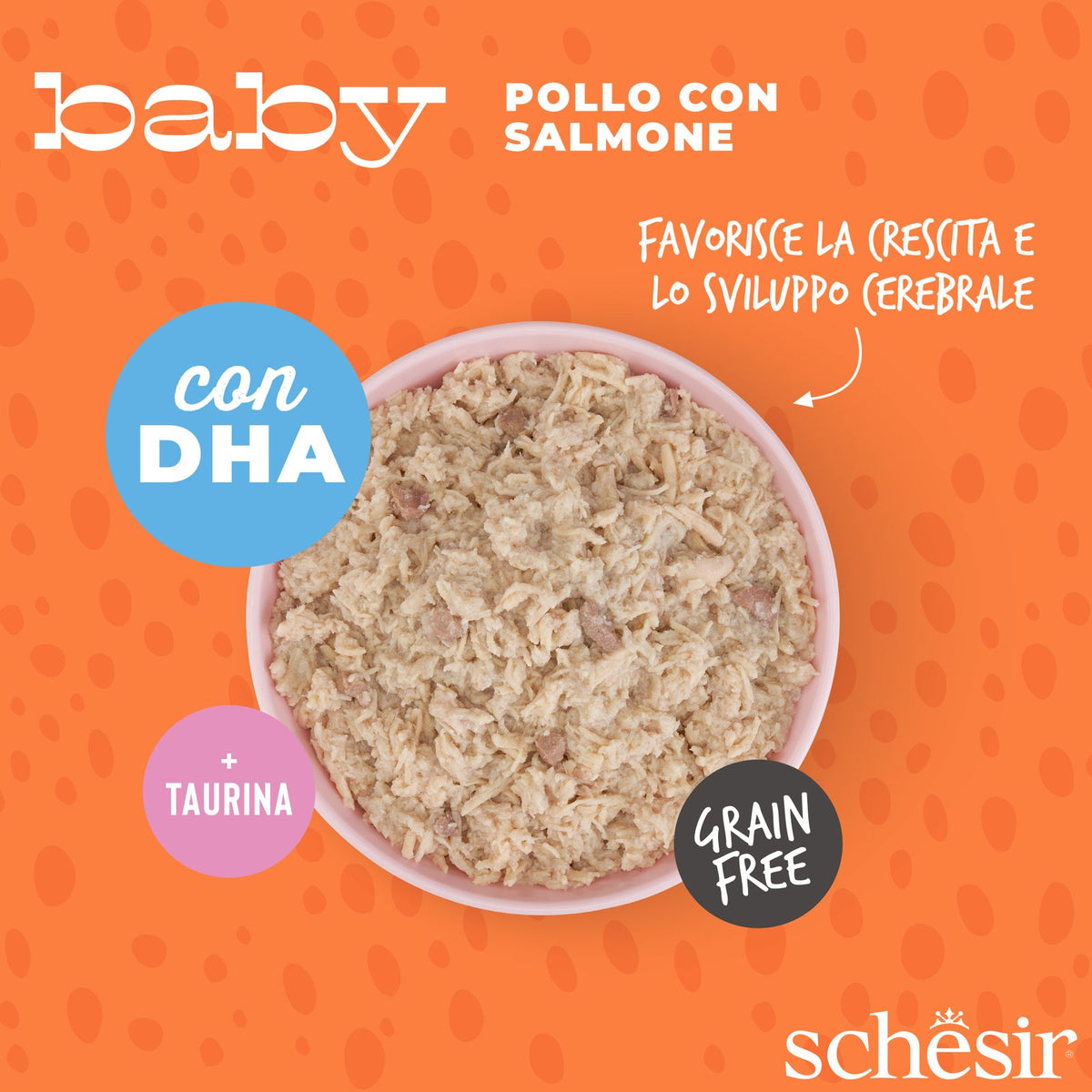 Baby Pollo Salmone 70 g