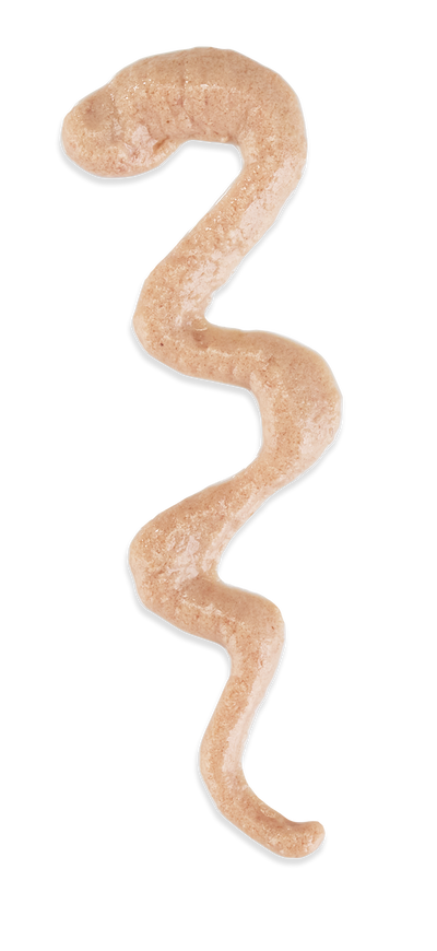 Stix Cat Cream Snack Salmone 6/15 g