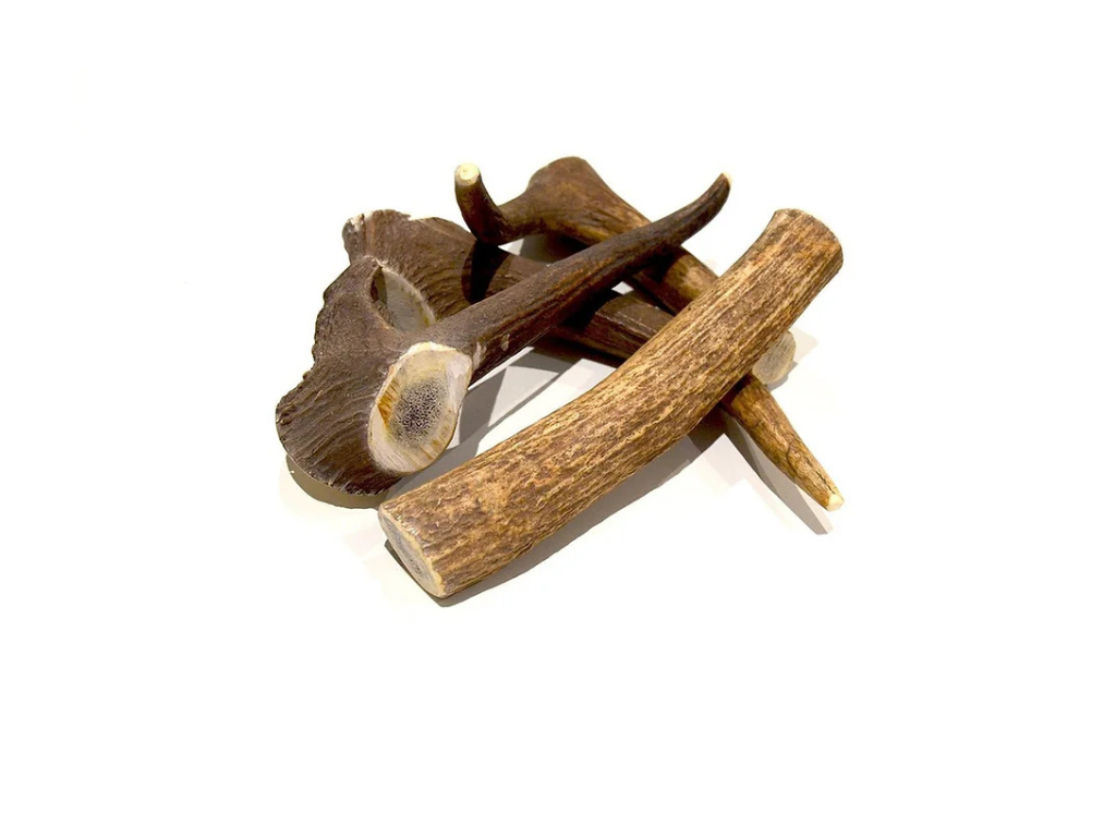 Corna di Cervo Small 55-60 g 12 cm/25