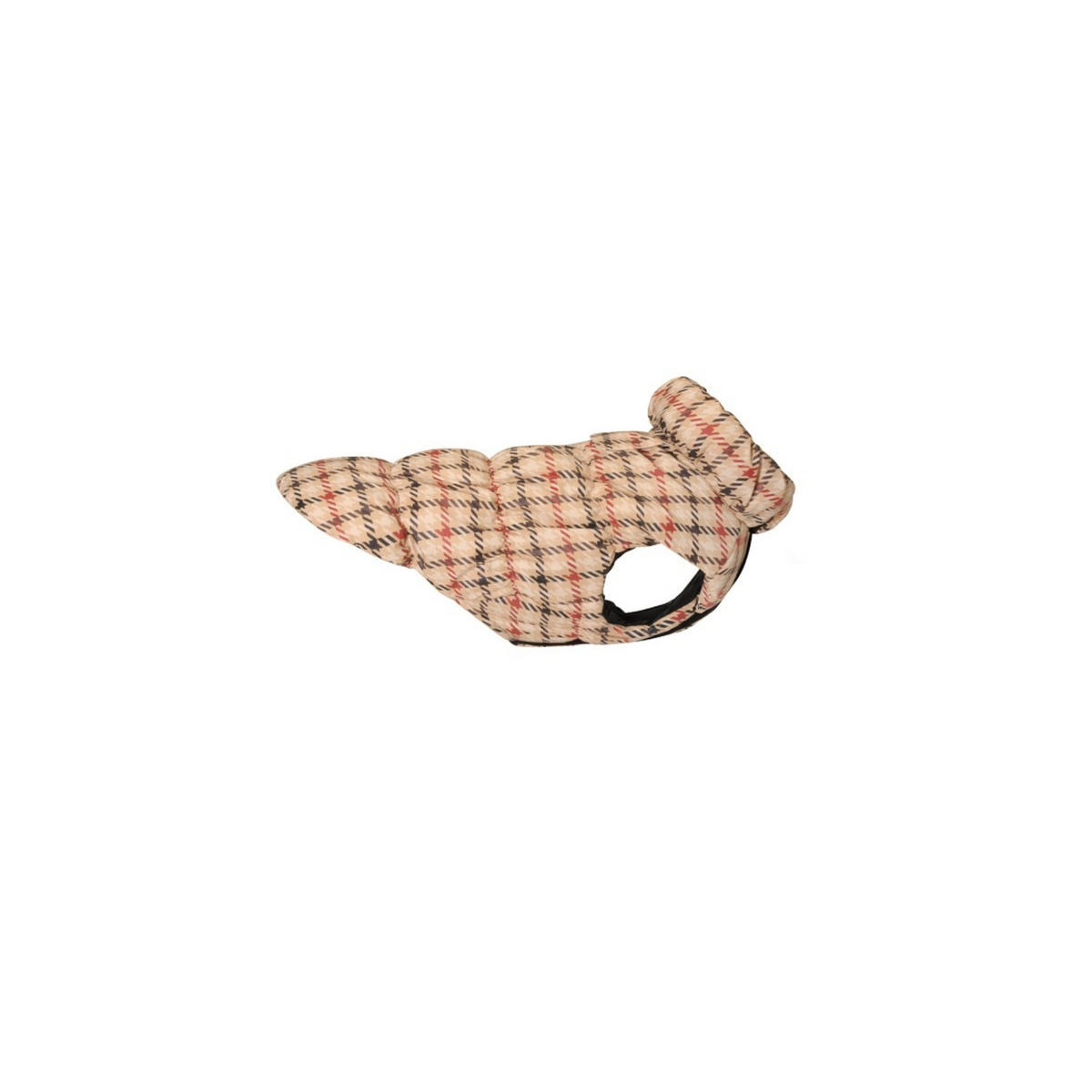 CAMON PIUMINO CANDY OXFORD - TG.40