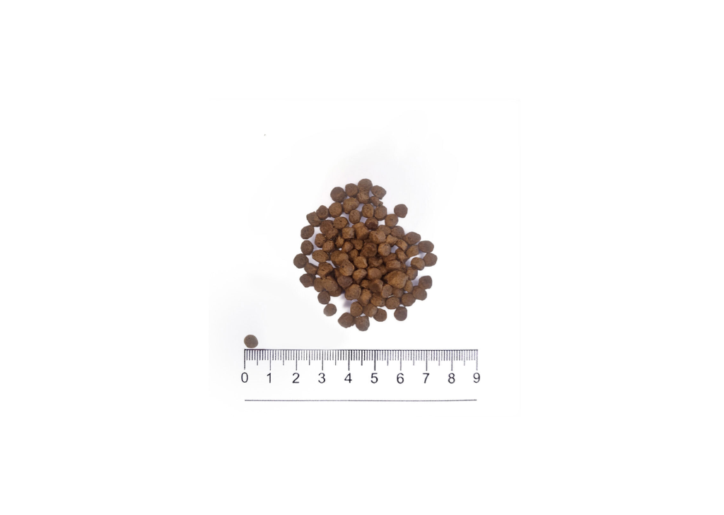 Prolife Dog Medium Puppy Pollo e Riso 10 kg.