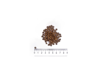 Prolife Dog Medium Puppy Pollo e Riso 10 kg.