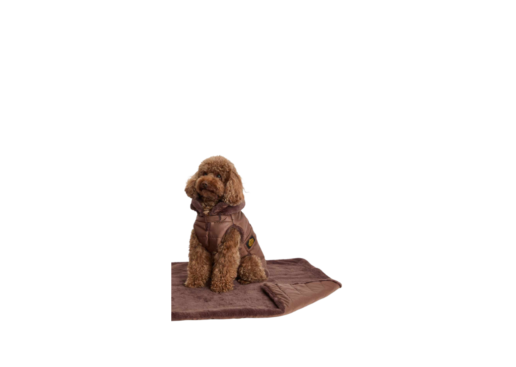 Fashion Dog Cappotto Trapuntato con Fodera in Eco Pelliccia 27 Marrone