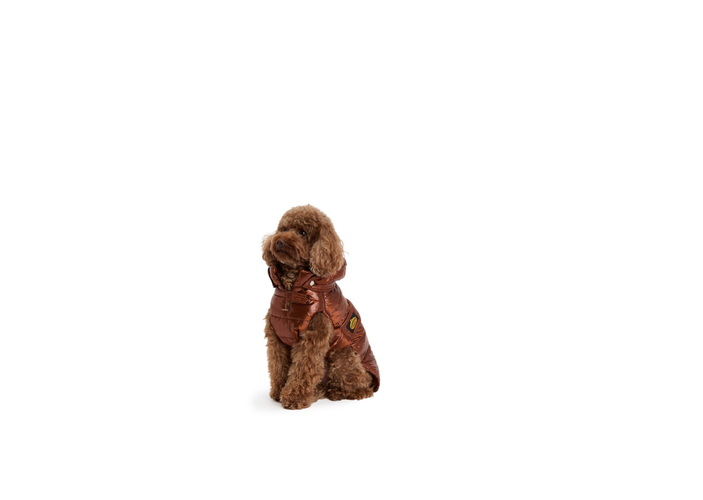 Fashion Dog Impermeabile Trapuntato con Cappuccio Rimovibile 39 Marrone