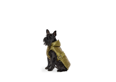 Fashion Dog Impermeabile Trapuntato con Cappuccio Rimovibile 30 Verde