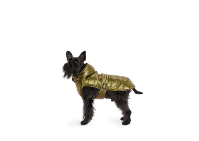 Fashion Dog Impermeabile Trapuntato con Cappuccio Rimovibile 30 Verde