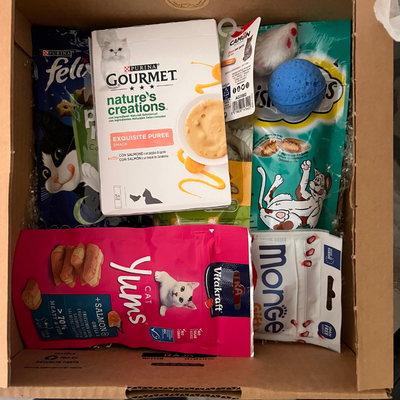 Mystery Box Supergolosa Gatto