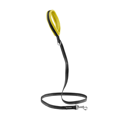Guinzaglio Neon Mesh TF360