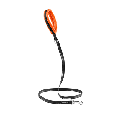 Guinzaglio Neon Mesh TF360