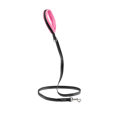 Guinzaglio Neon Mesh TF360